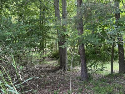 125 W Shore Woods, Douglas, Michigan 49406, USA
