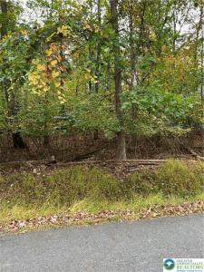 Dogwood Lane, Middle Smithfield Twp, 宾夕法尼亚州 18302, 美国