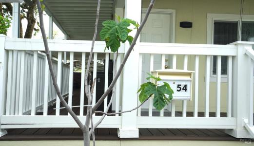 54 Ellie Dr, Santa Rosa, California 95403, HOA KỲ