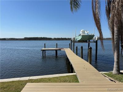 Homosassa, Floride 34448, États-Unis