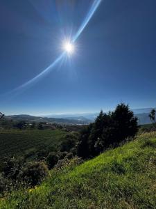 Pacayas Alvarado, Cartago 30601, Costa Rica