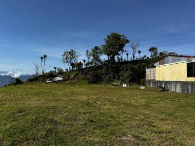 Pacayas Alvarado, Cartago 30601, Costa Rica