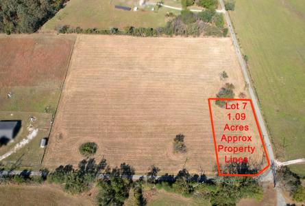 Lot 7 RS County Road 3150, Emory, Texas 75440