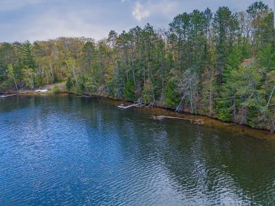 1.44 AC Naper Hill Rd, Land O Lakes, ויסקונסין 54540, ארצות הברית של אמריקה 