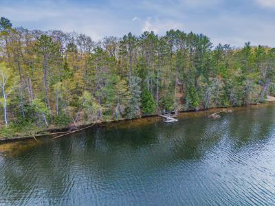 1.44 AC Naper Hill Rd, Land O Lakes, ויסקונסין 54540, ארצות הברית של אמריקה 