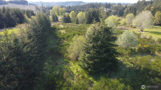 113 Red Rock Lane, Chehalis, Washington 98532, USA