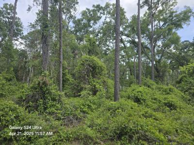 TBD SE 875th St, Old Town, Florida 32680