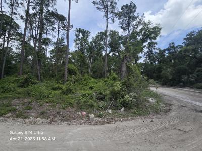 TBD SE 875th St, Old Town, Florida 32680