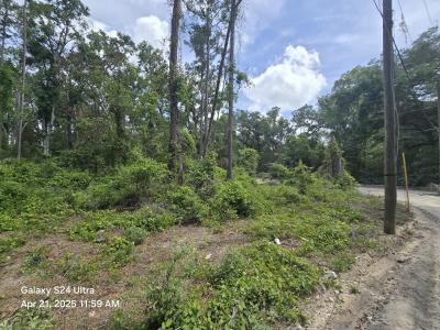 TBD SE 875th St, Old Town, Florida 32680