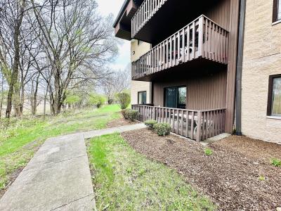 3107 Ingalls Avenue , 1D, Joliet, Illinois 60435
