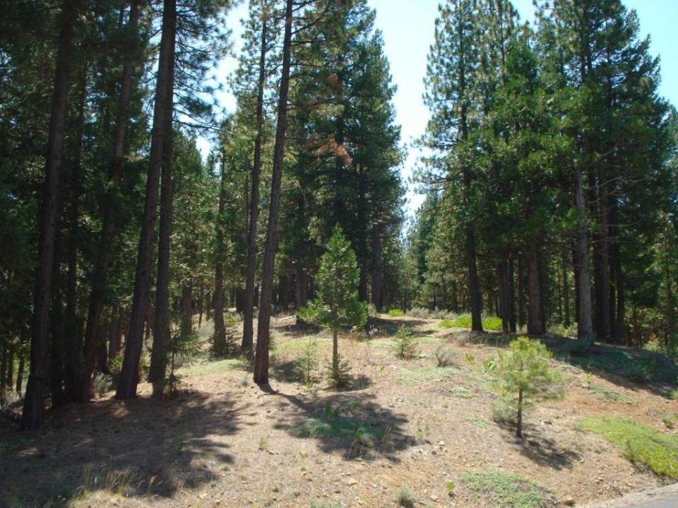 976 Moon Shadow, Portola, California 96122, Estados Unidos