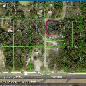 Lot 175C Madison Avenue, Dade City, Floryda 33523, USA