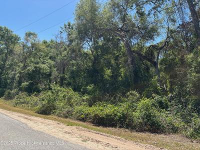 Lot 175C Madison Avenue, Dade City, Floryda 33523, USA