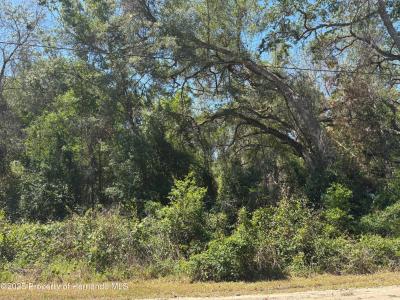 Lot 175C Madison Avenue, Dade City, Floryda 33523, USA