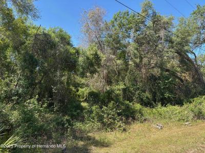 Lot 175C Madison Avenue, Dade City, Floryda 33523, USA