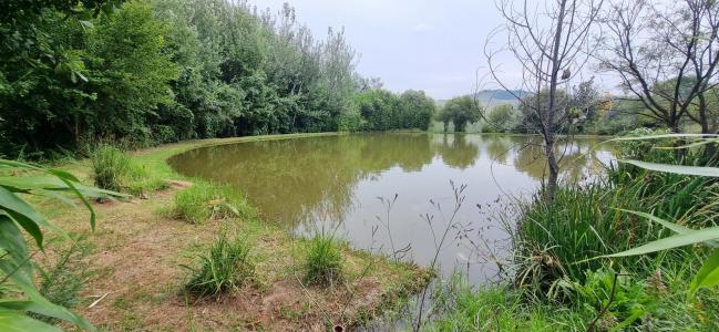 Walkerville, Gauteng, South Africa