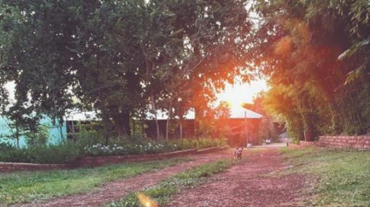 Walkerville, Gauteng, South Africa