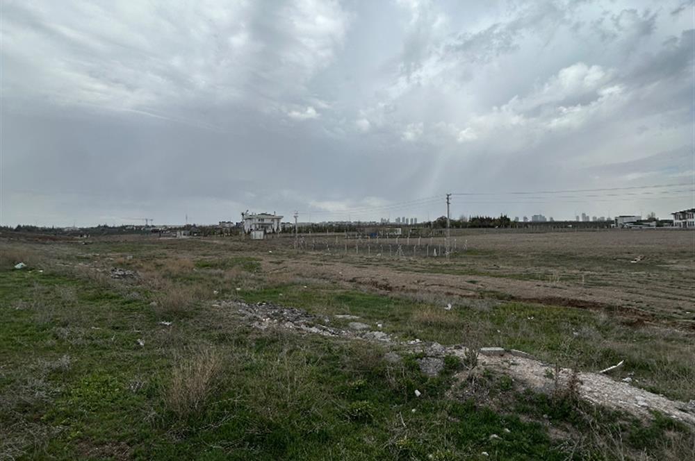 Ankara, 6830, Thổ Nhĩ Kỳ