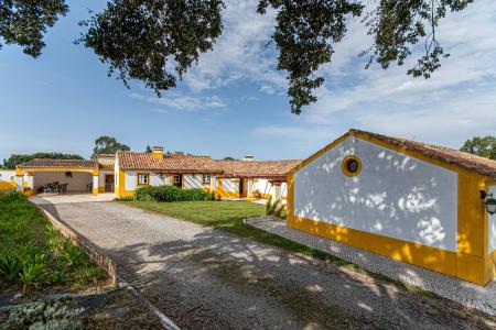 Azambuja, Lissabon 2050-364, Portugal