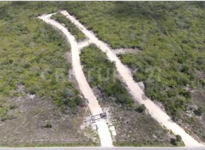 Ixil 1,, Ixil, Yucatan 97343, Mexico