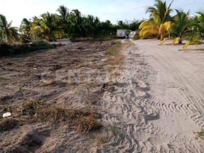c. 44 506,, Telchac Puerto, Yucatan 97407, Messico