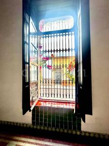 Querétaro, Querétaro 76000, Mexique