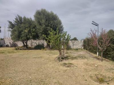 bentos 2681, San Rafael, Mendoza 00001, Argentina