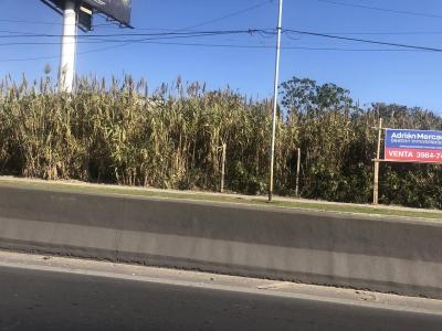 Cabo Chioffi 6000, Avellaneda, GBA Sur 00001, Argentinien