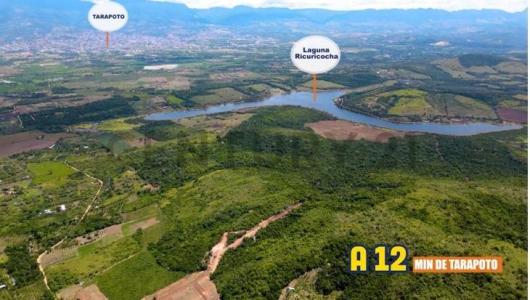 MOYOPAMPA , San Martín, San Martín 00001, Peru