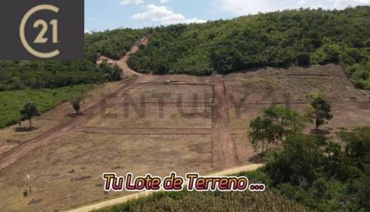 MOYOPAMPA , San Martín, San Martín 00001, Peru