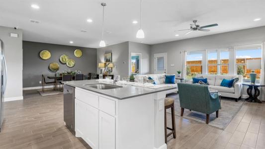 441 LIVINGSTON DR, DeSoto, Texas 75115, USA