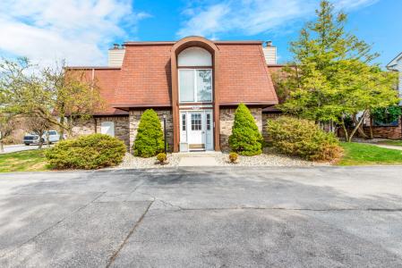 8449 Mathias Drive, Grosse Ile, 密歇根州 48138, 美国