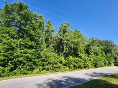 TBD SW Yazoo Ct, Dunnellon, Floride 34431, États-Unis