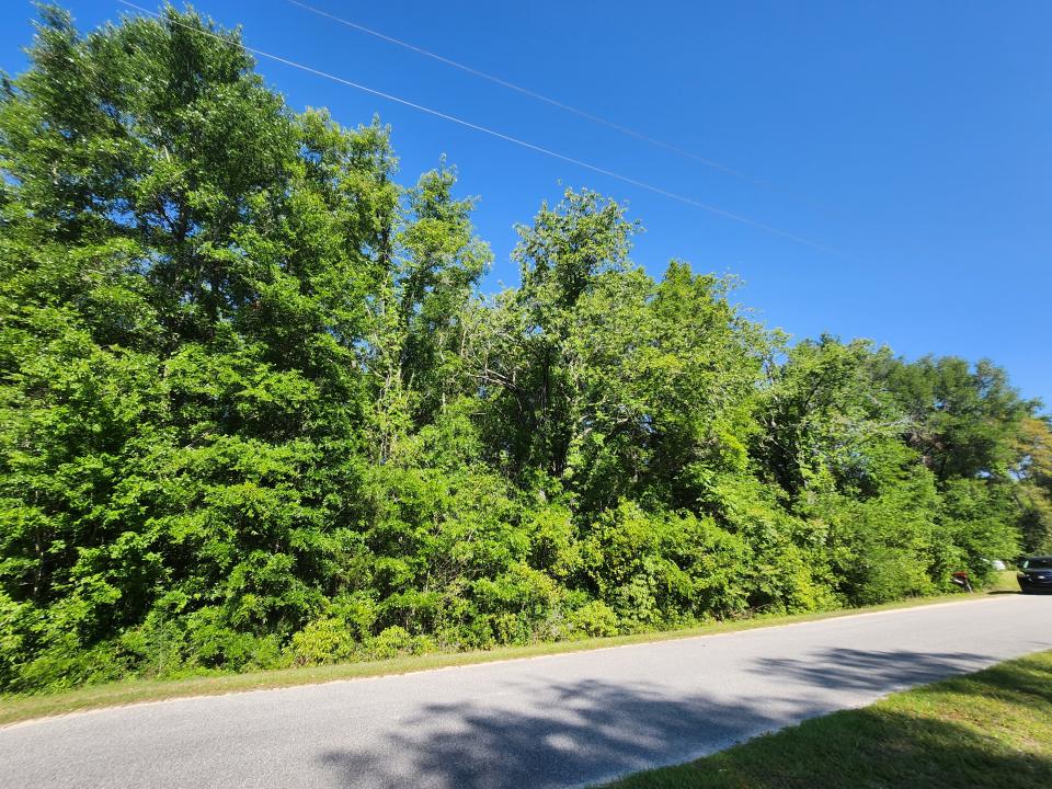 TBD SW Yazoo Ct, Dunnellon, Florida 34431, HOA KỲ