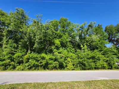 TBD SW Yazoo Ct, Dunnellon, Florida 34431, HOA KỲ