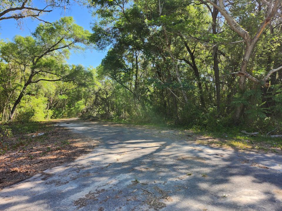 TBD Guava Terr Loop, Ocklawaha, Floride 32179, États-Unis