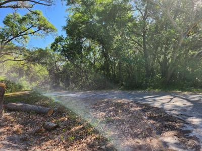 TBD Guava Terr Loop, Ocklawaha, Floride 32179, États-Unis