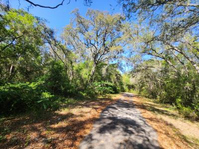 TBD Guava Terr Loop, Ocklawaha, Floride 32179, États-Unis