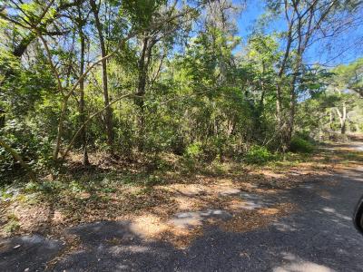 TBD Guava Terr Loop, Ocklawaha, Floride 32179, États-Unis