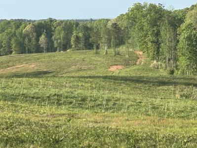 0 Needmore Road- (345.37 acres), Roopville, Georgia 30170, HOA KỲ