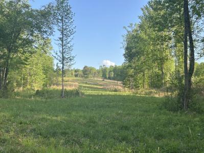 0 Needmore Road- (345.37 acres), Roopville, Georgia 30170, HOA KỲ
