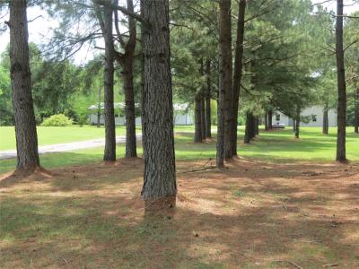 25988 County Road 462, Mineola, Texas 75773, USA