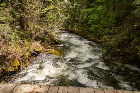 2884 Morris Rd, Naples, איידהו 83847, ארצות הברית של אמריקה 