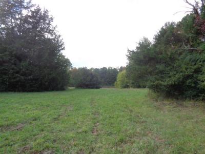 42-14 Chippokes Farm Road, Surry, Virginia 23883, USA