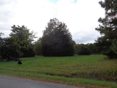 42-14 Chippokes Farm Road, Surry, Virginia 23883, USA