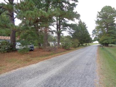 42-14 Chippokes Farm Road, Surry, Virginia 23883, USA