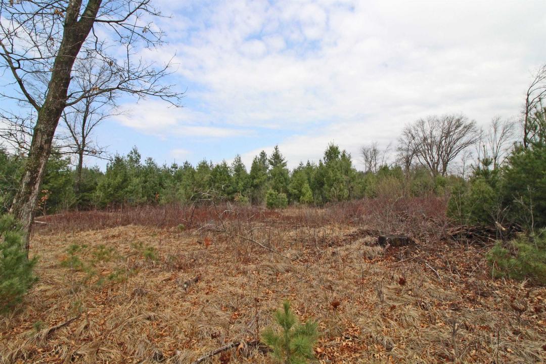 Lot19 Timber Trail, Spring Green, ウィスコンシン 53588, アメリカ合衆国
