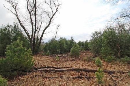 Lot19 Timber Trail, Spring Green, ウィスコンシン 53588, アメリカ合衆国