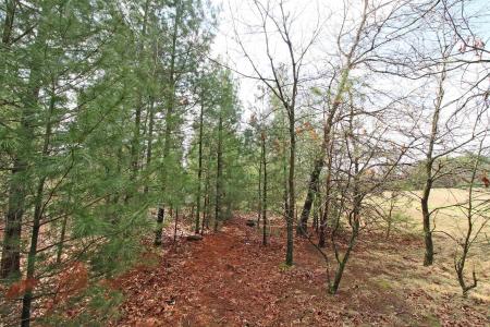 Lot19 Timber Trail, Spring Green, ウィスコンシン 53588, アメリカ合衆国