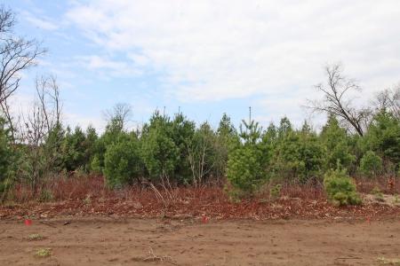 Lot19 Timber Trail, Spring Green, ウィスコンシン 53588, アメリカ合衆国